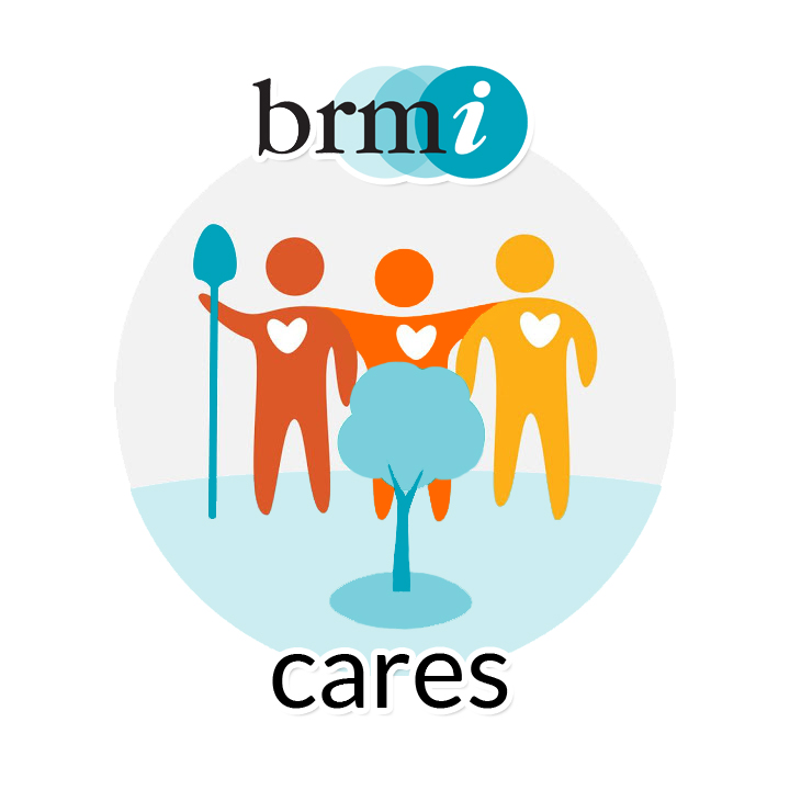 BRMi Cares Logo – Draft 2 copy